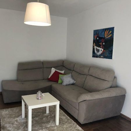 Apartment Safran Novigrad  Exterior photo