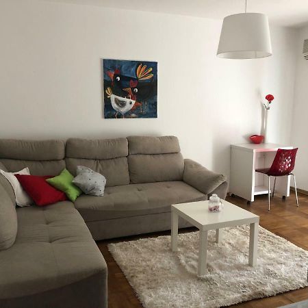 Apartment Safran Novigrad  Exterior photo