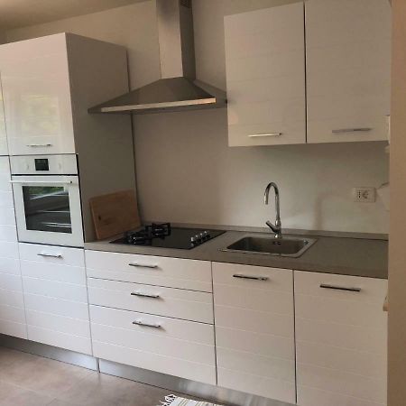 Apartment Safran Novigrad  Exterior photo