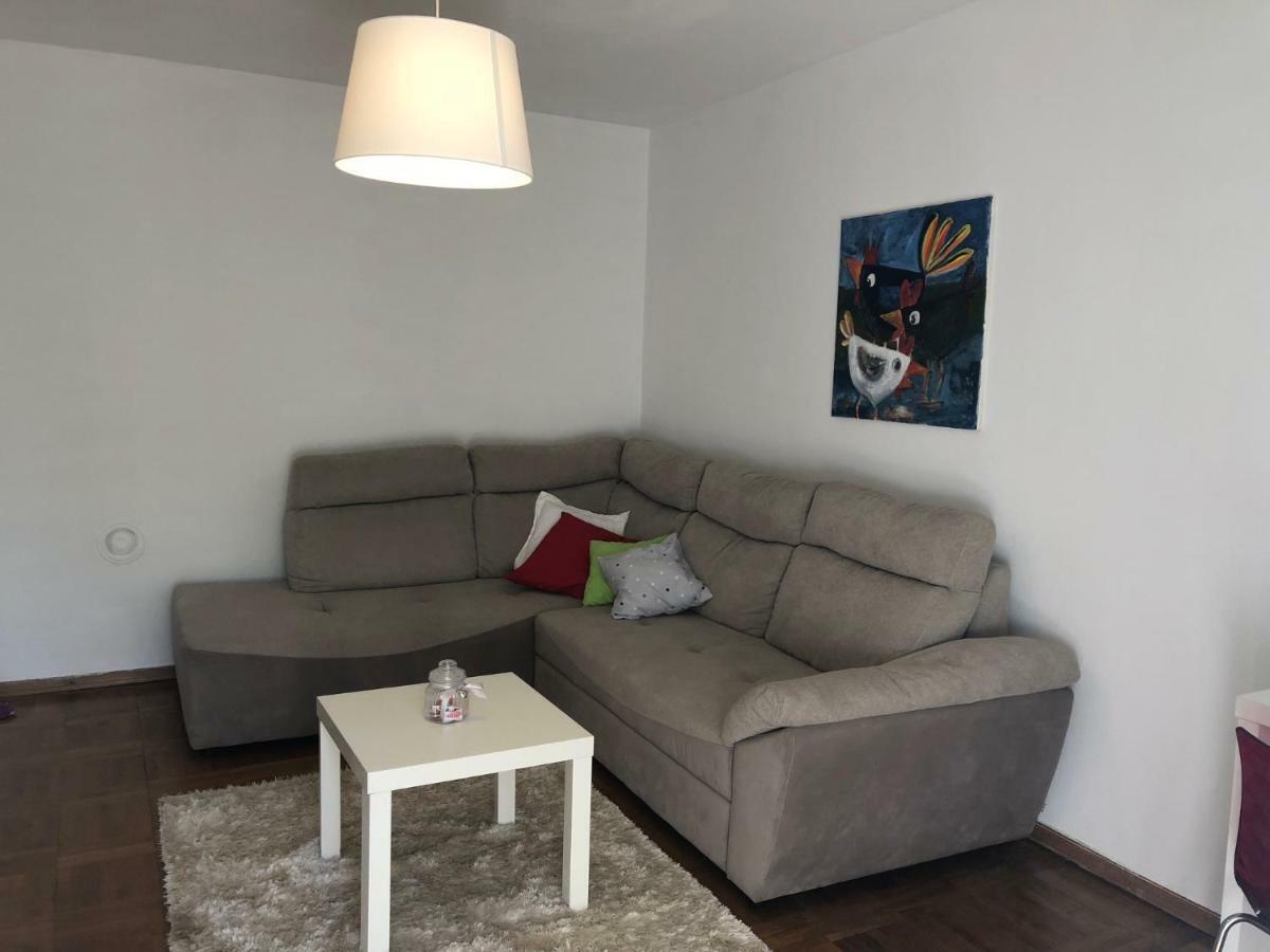 Apartment Safran Novigrad  Exterior photo