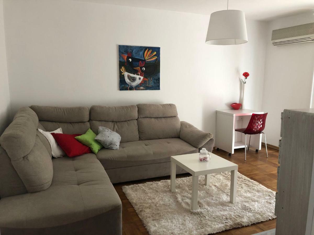 Apartment Safran Novigrad  Exterior photo