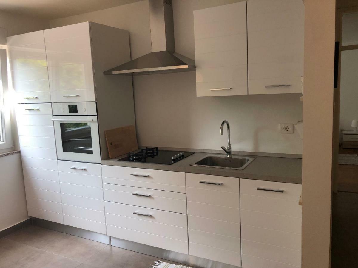 Apartment Safran Novigrad  Exterior photo